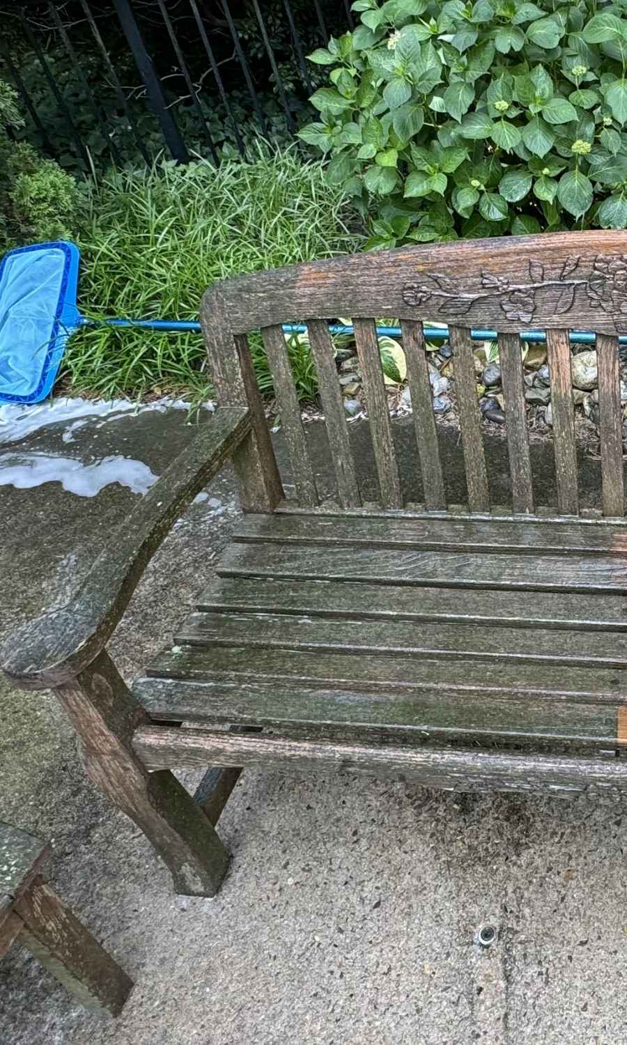 Deck Before